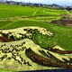 Illustration for article titled Don't Worry, Japanese Rice Paddy Art Is Still Incredible